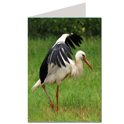Zeige Details für BierPostCARD - "STORCHI" Klappkarte gedruckt auf hochwertigem Recyclingpapier A6 im Briefumschlag Bild von BierPostCARD - "STORCHI" Klappkarte gedruckt auf hochwertigem Recyclingpapier A6 im Briefumschlag